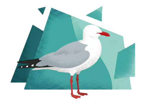  Ilustração Congresso Animal 2
